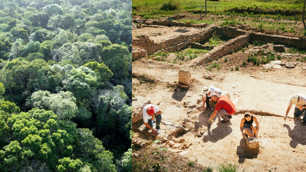 Este hallazgo podría cambiar lo que se sabía sobre la Amazonia.