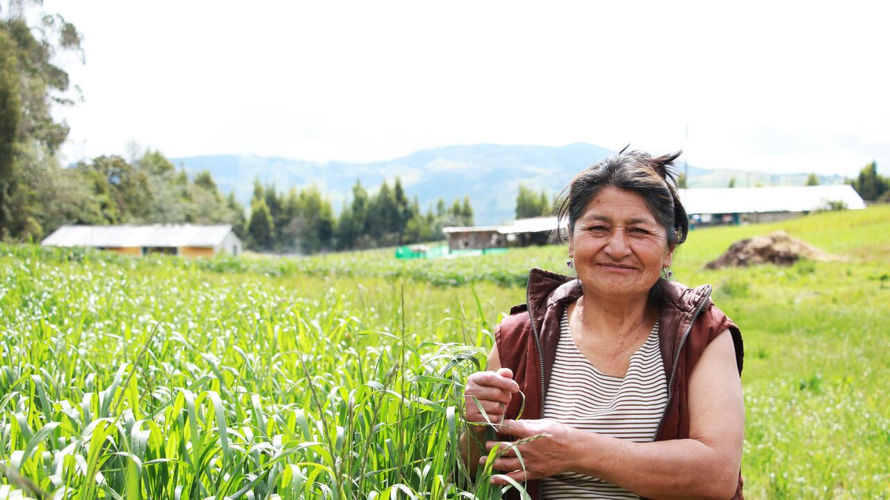 Rosa Elivara Pardo Chañac Campesina Vereda de Cubijan Alto, Catambuco