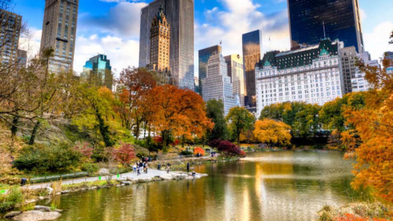 Central Park, en Nueva York.