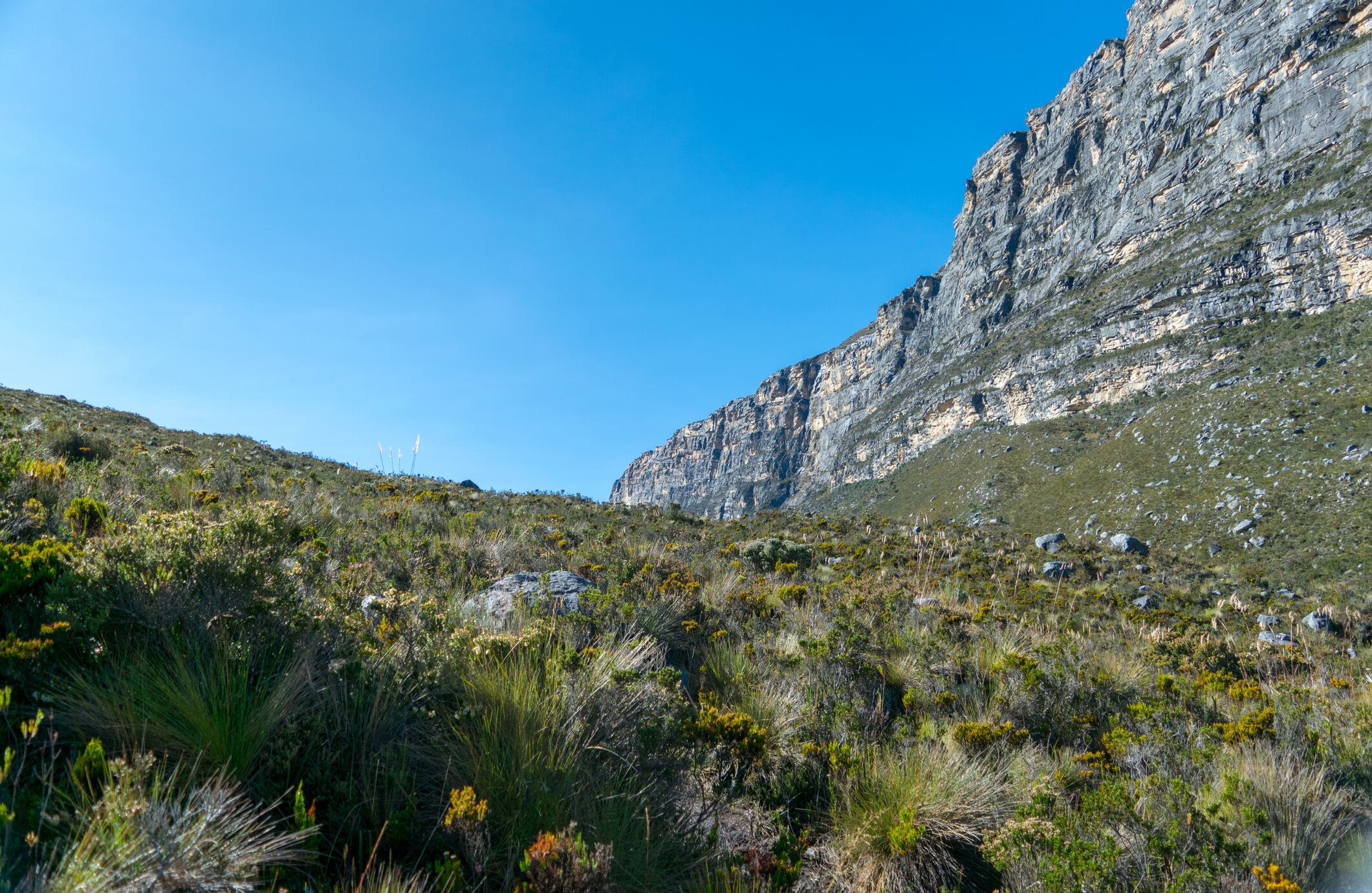 Para los amantes de la escalada en roca, hielo y nieve, las caminatas y el turismo natural, este parque ofrece todo para garantizar una experiencia única. Para ingresar se debe hacer la reserva y el pago con un mes de anticipación a Parques Nacionales y ASEGUICOC, la asociación de ecoturismo comunitario que presta servicios como alojamiento, alimentación, acompañamiento y transporte.