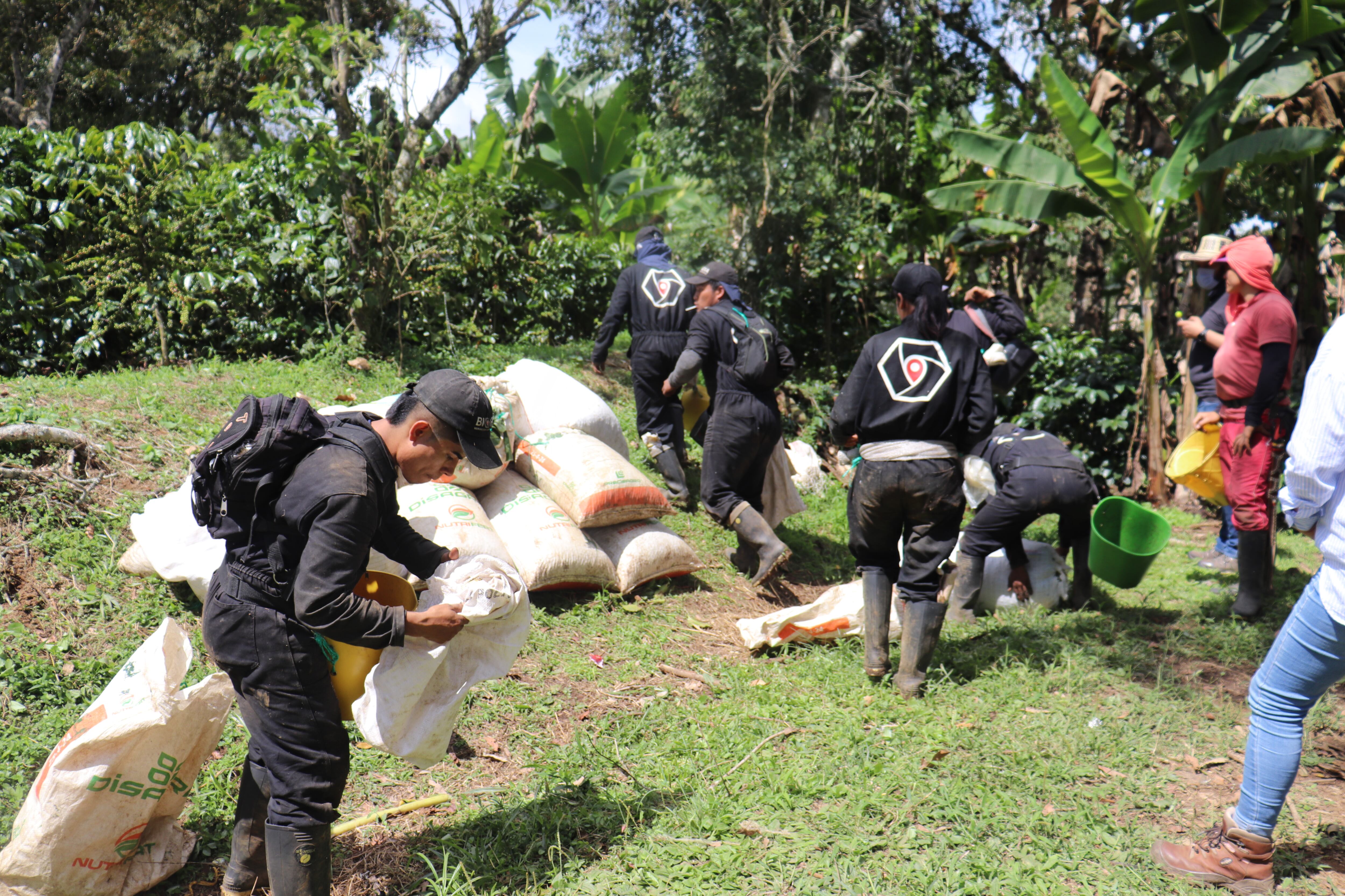 El piloto de Biohexa con la Cooperativa de Caficultores del Sur de Santander benefició a más de 30 productores entre 2020 a 2021.