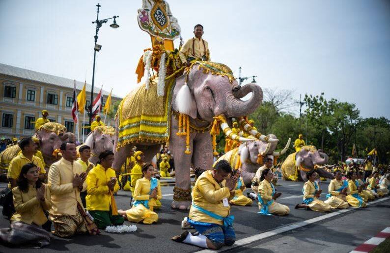 7 de mayo - Elefantes bajo el mando de sus mahouts se inclinan con los simpatizantes durante una procesión cerca del Gran Palacio de Bangkok para presentar sus respetos al rey Maha Vajiralongkorn de Tailandia. FOTO: Jewel SAMAD / AFP