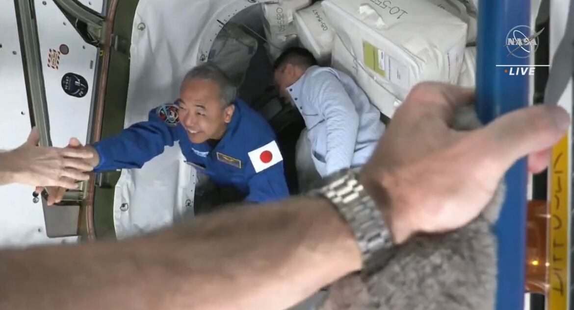 Crew-7. Foto: x @NASA.