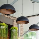 Las plantas colgantes son ideales para aportar bienestar y modernidad al hogar.