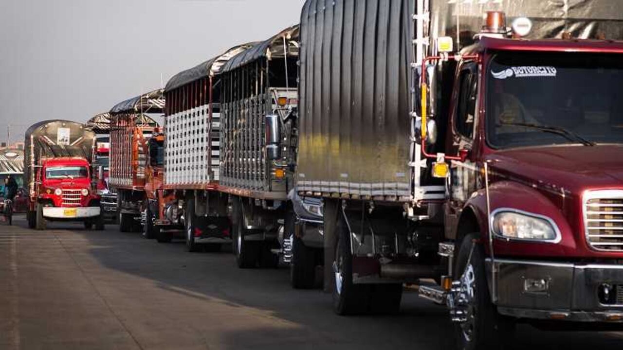 El fenómeno de la chatarrización ilegal acarrea problemas de sobre oferta de vehículos