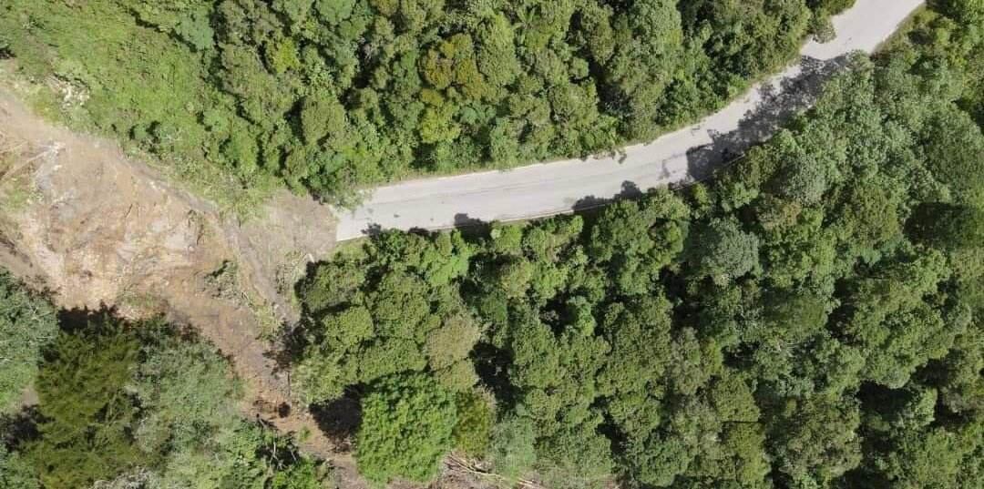 En la vía hay represamiento de material, lodo y árboles.