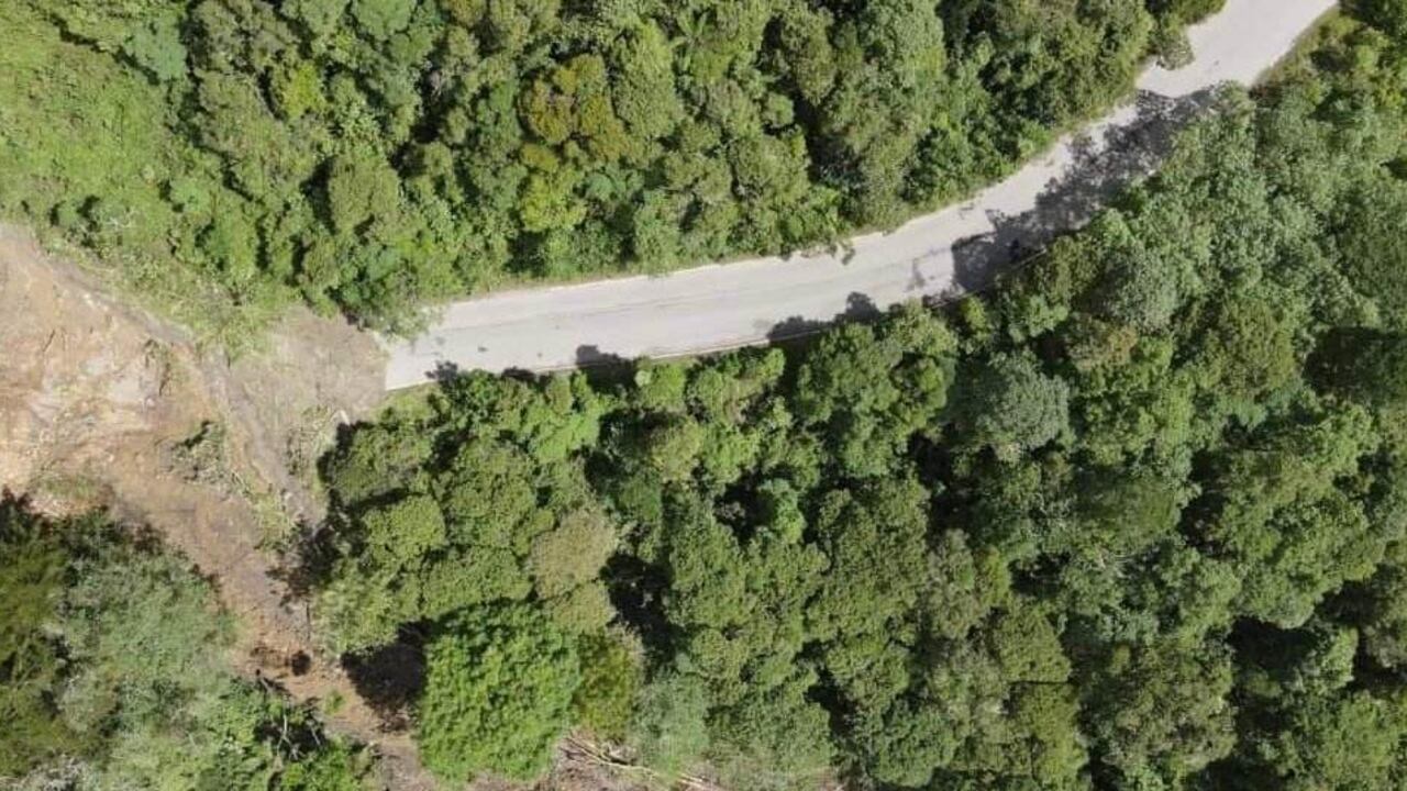 En la vía hay represamiento de material, lodo y árboles.