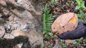 La búsqueda de los menores no para y las autoridades revelaron detalles de la misión.