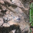 La búsqueda de los menores no para y las autoridades revelaron detalles de la misión.