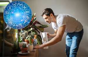 Algunas plantas tienen mayor compatibilidad son el signo de las personas.