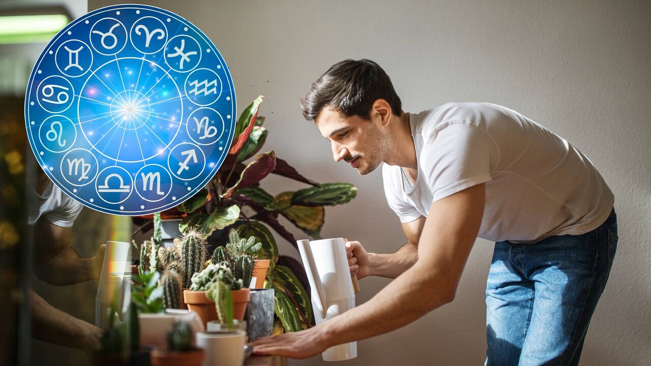 Algunas plantas tienen mayor compatibilidad son el signo de las personas.