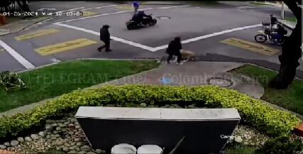 El perro persiguió por varios metros al delincuente.