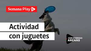 Actividad con juguetes | Rodrigo Arenas en EduCANdo Manadas