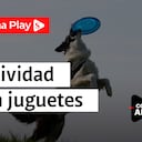 Actividad con juguetes | Rodrigo Arenas en EduCANdo Manadas
