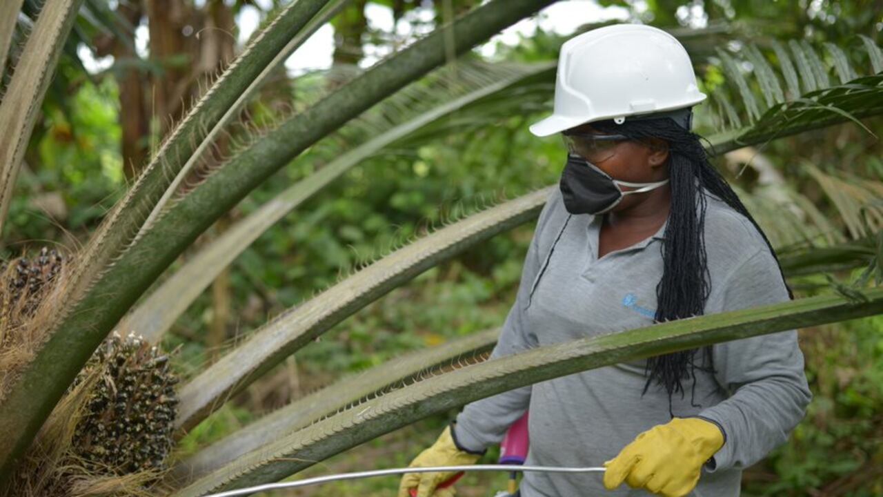 “El empleo en este sector es altamente formal”, dijo el funcionario.