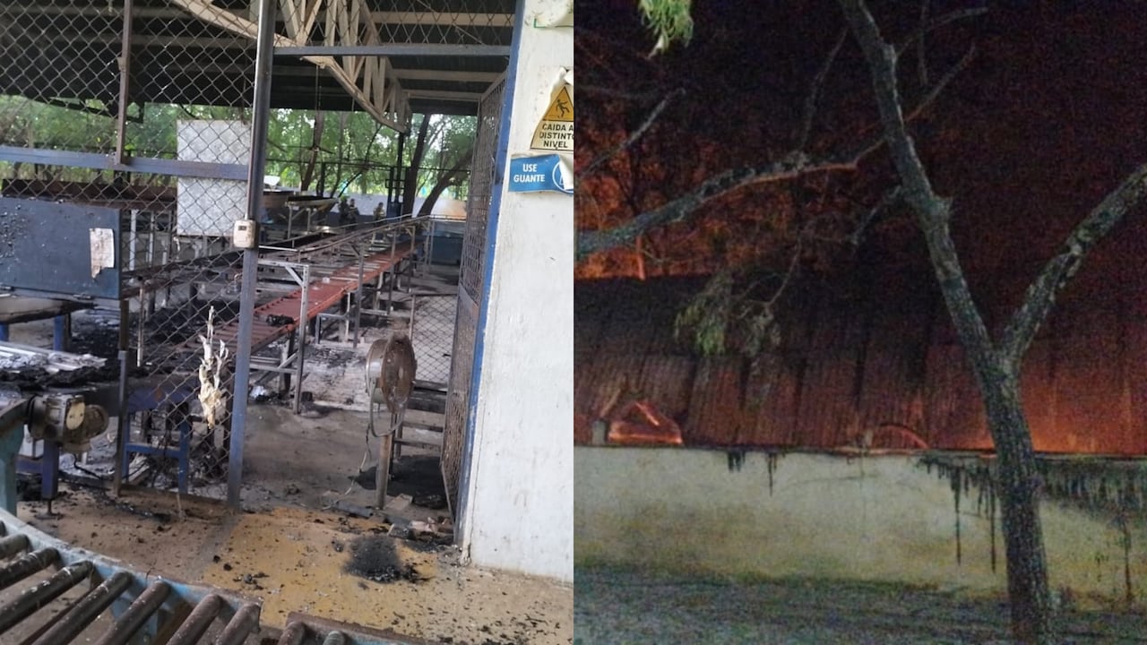 Incineran fincas bananeras en Magdalena y La Guajira.