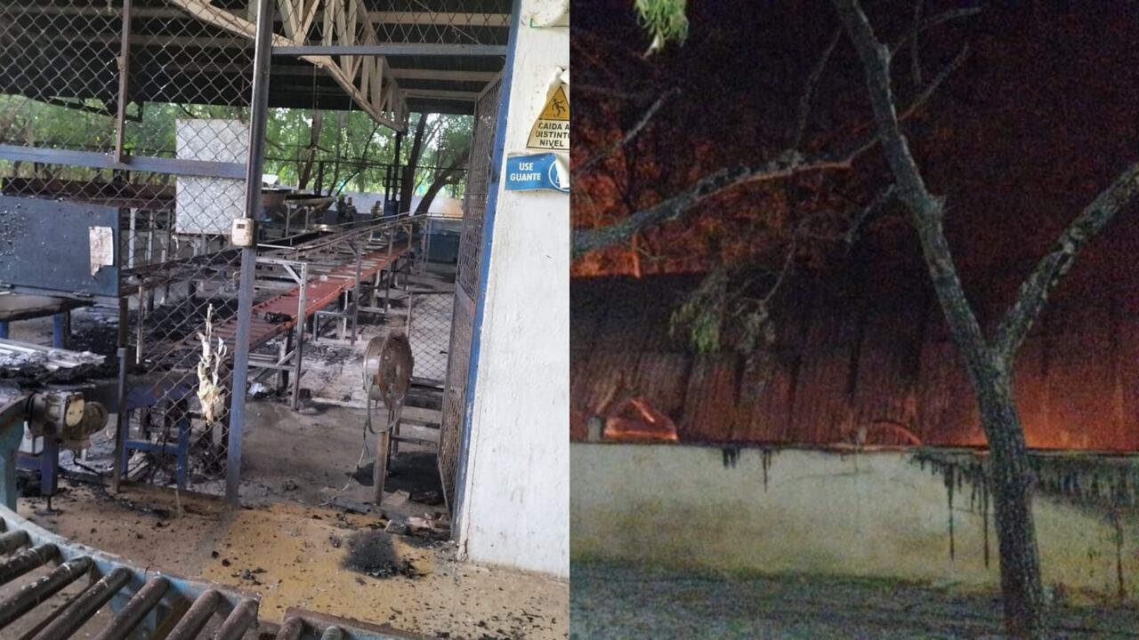 Incineran fincas bananeras en Magdalena y La Guajira.