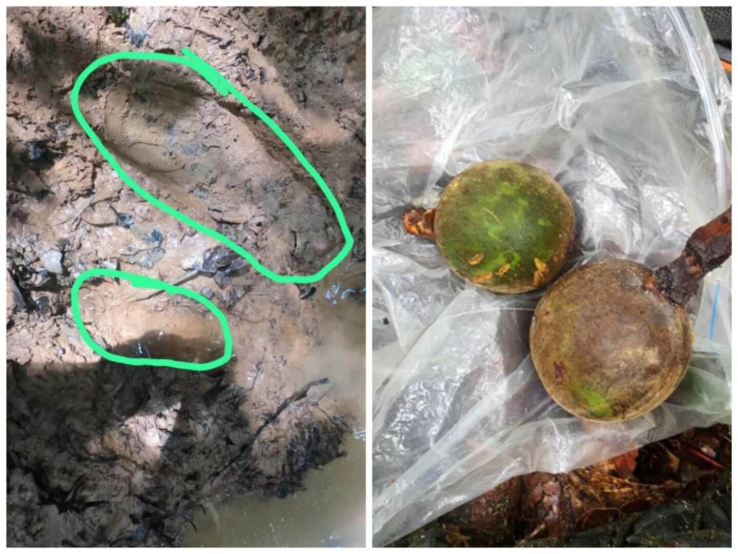 Nuevas pistas que dan esperanza en la búsqueda.