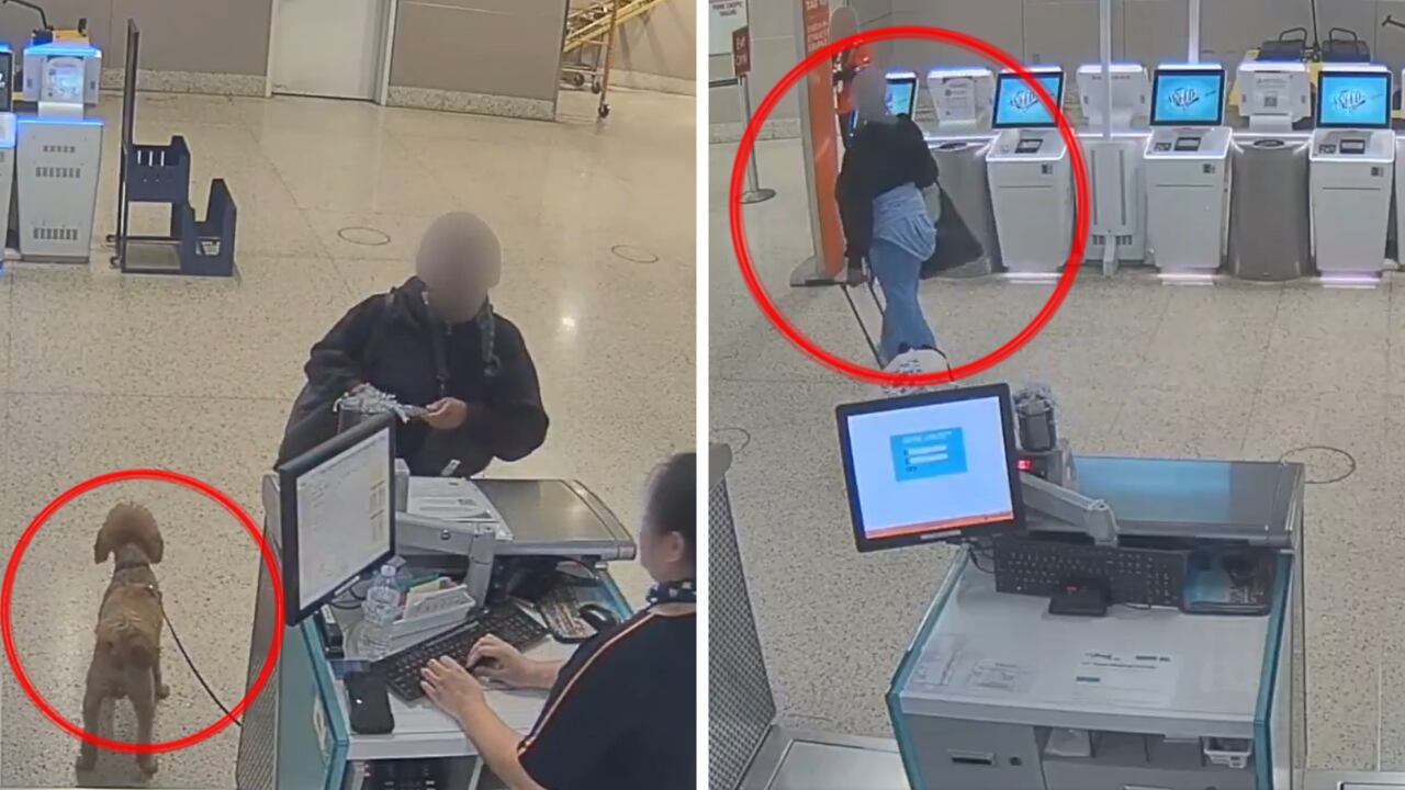 Autoridades intervinieron tras detectar al perro solo en el área de boletos