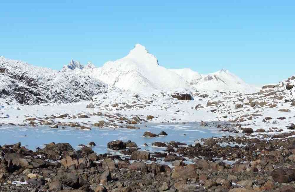 En las rocas de la Antártida Óscar se dedicó a buscar líquenes   para compararlos con los de los glaciales colombianos. Foto: Oscar Ramos y Takekuma Sou/ Unisalle 