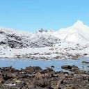 En las rocas de la Antártida Óscar se dedicó a buscar líquenes para compararlos con los de los glaciales colombianos. Foto: Oscar Ramos y Takekuma Sou/ Unisalle