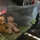 Estos eran algunos de los juguetes favoritos de Diana Tatiana