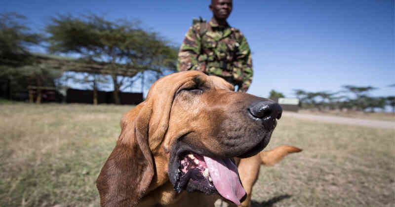 Getty Images. Imagen de referencia.