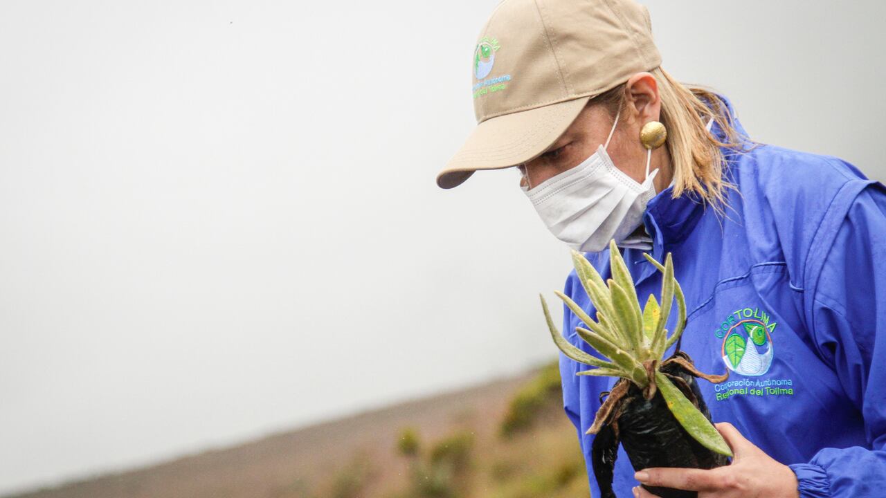 Cortolima cuenta con 28 Planes de Manejo Ambiental para la legalización de minería de hecho.