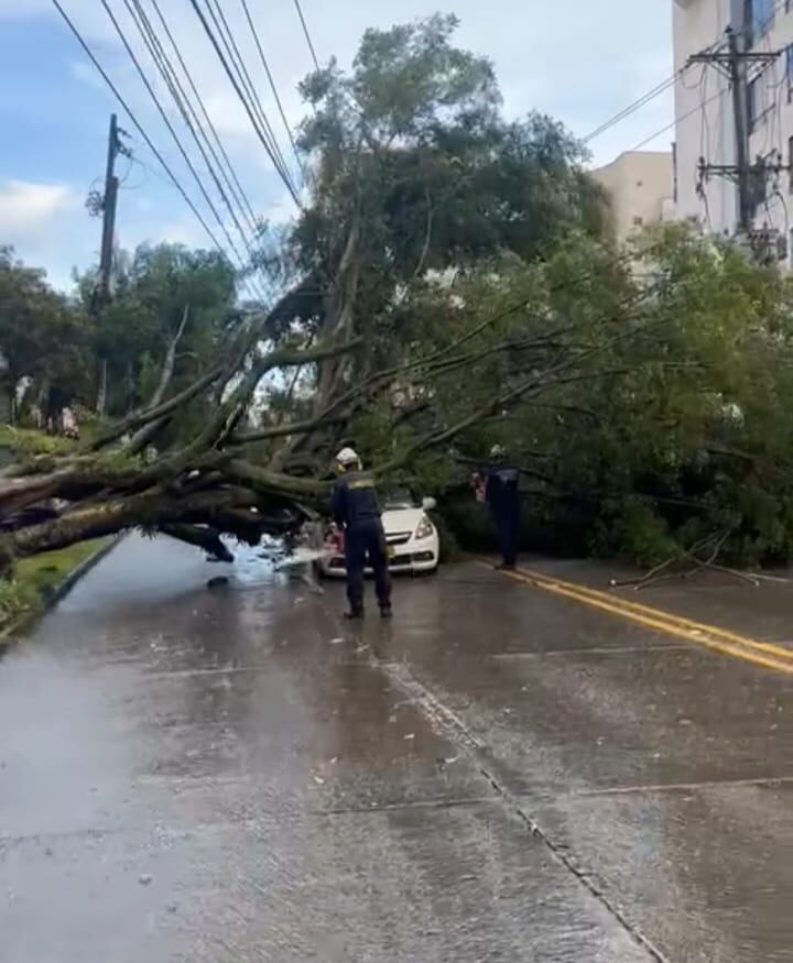 Emergencia por vendaval en el Eje Cafetero