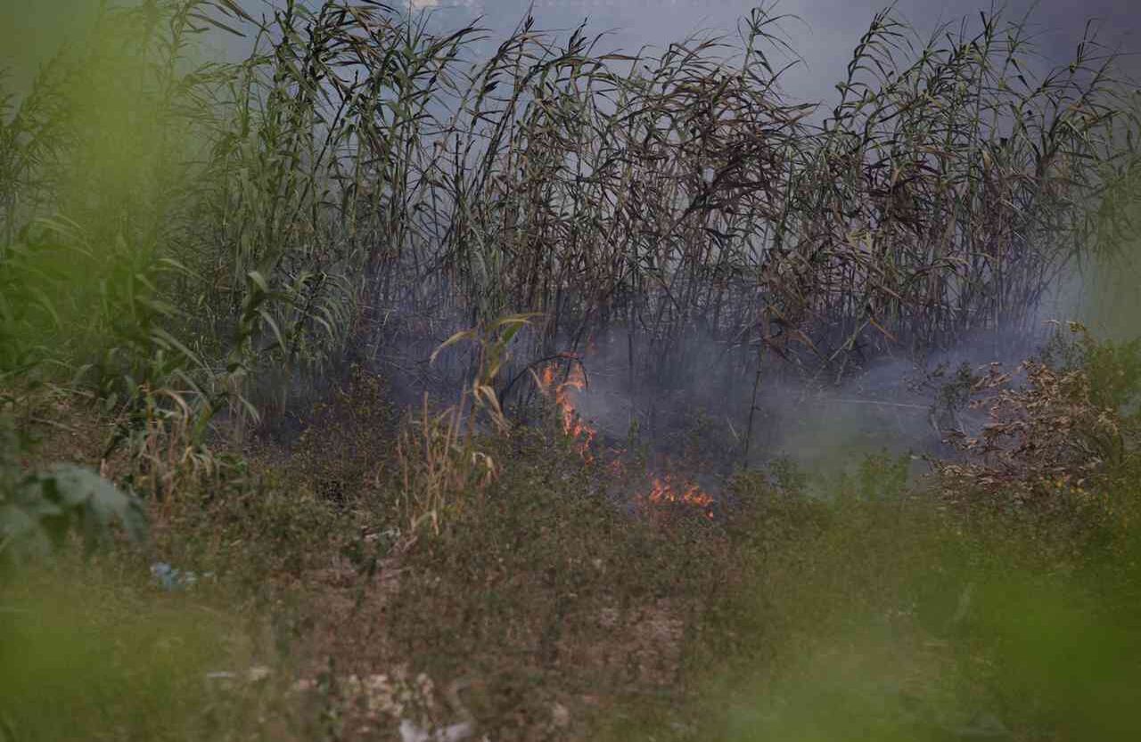 El incendio también se expandió a áreas naturaleza. Foto: Diana Rey Melo SEMANA