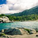 vista de la selva en el parque nacional tayrona