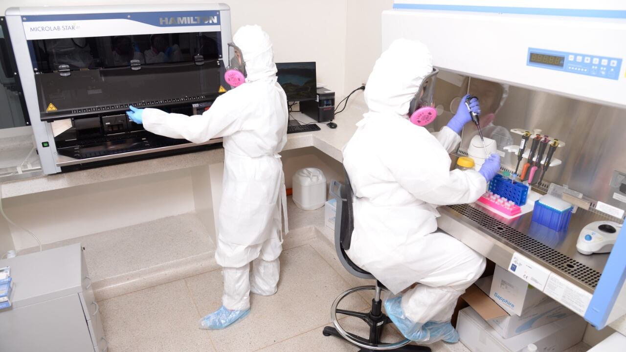En el Laboratorio Central de Investigación de la Facultad de Salud de la la UIS se adelantan pruebas diagnósticas para Covid-19. Foto: Cortesía UIS