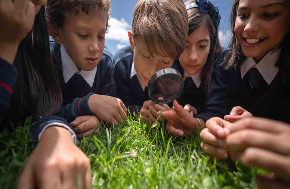 Los niños se enfrentan a la ciencia con pasión, el desafío es cultivar ese interés a lo largo de su vida. // iStock