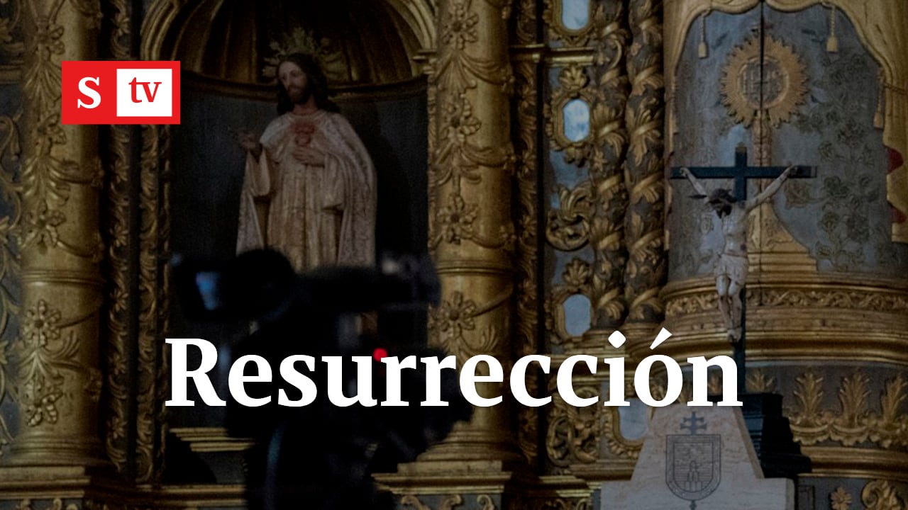 DOMINGO SANTO CATEDRAL PAMPLONA