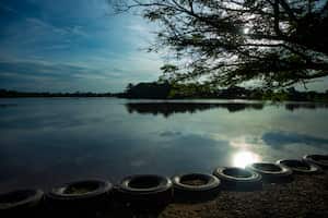 Puerto Lopez
Meta
Foto David Amado