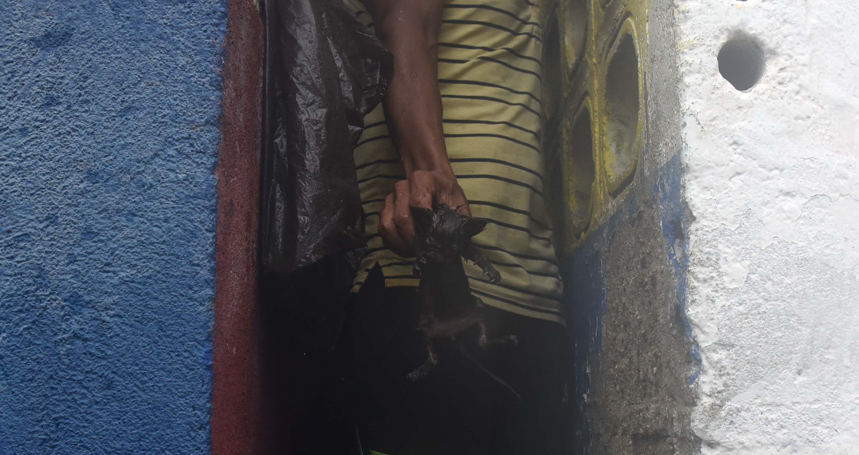 Aracataca, Magdalena. Sábado 5 de noviembre de 2022. Mercado Público.