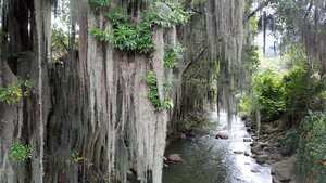 Puente de las ánimas