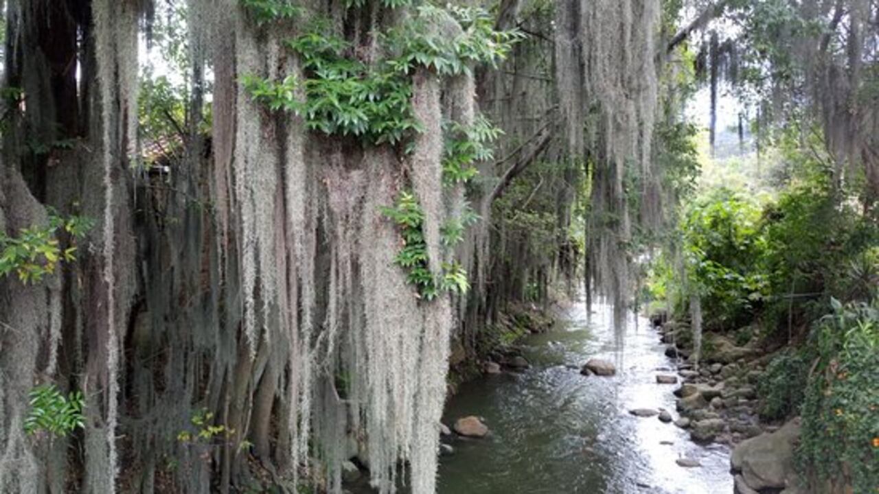 Puente de las ánimas