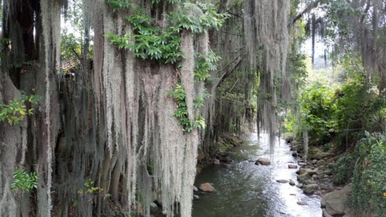 Puente de las ánimas