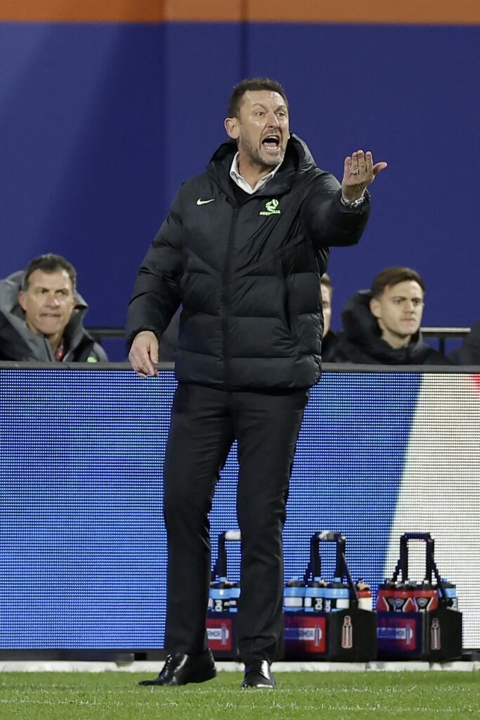 Tony Popovic, técnico de la Selección Australia.