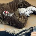 Contenido Sensible: Imágenes muestran a migrantes ahogados en el mar Mediterráneo cerca de las costas de Libia