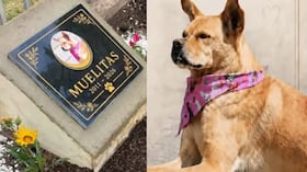 El último adiós a 'Muelitas'