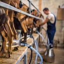 La leche ayuda a combatir el colesterol, la anemia y la osteoporosis.