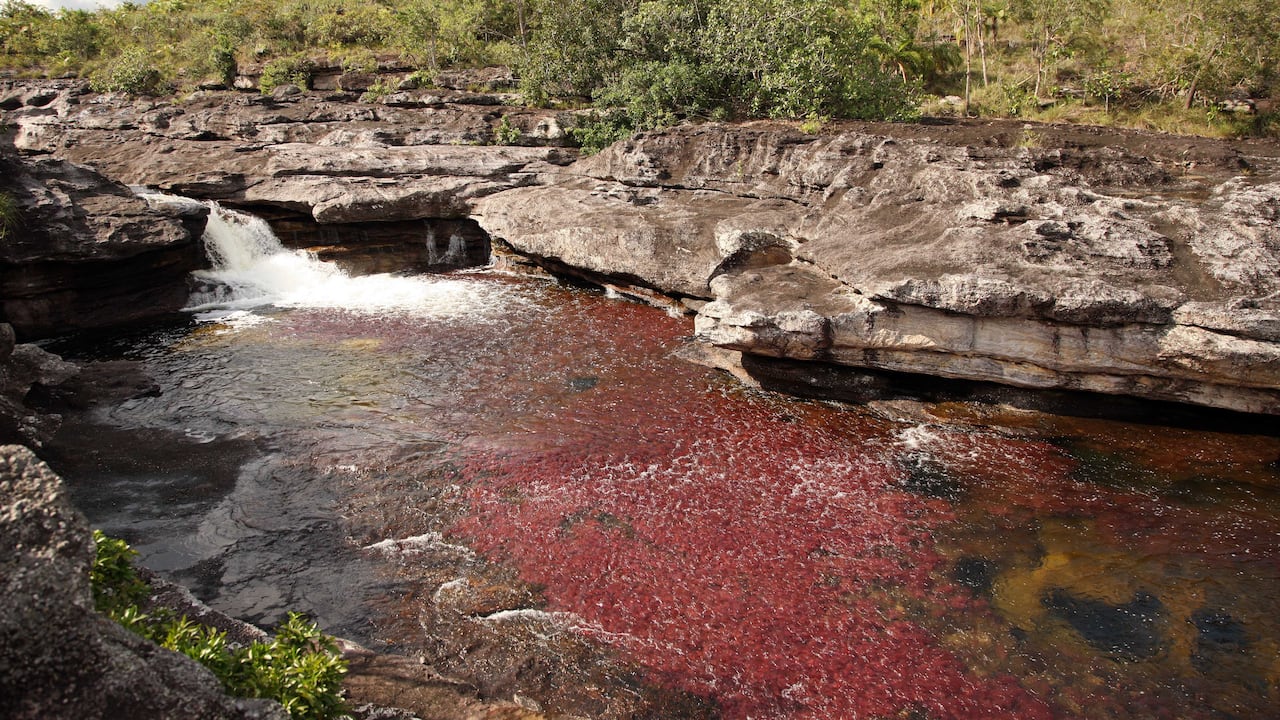 El alcalde del municipio de La Macarena, Ismael Medellín Dueñas, ha cuestionado el proyecto.