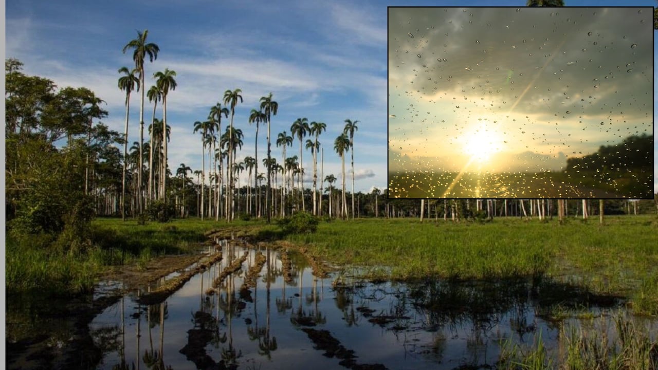 Las lluvias se concentrarán en la Orinoquia y la Amazonia, mientras que varias zonas del Caribe mantendrán altas temperaturas durante las próximas 24 horas.