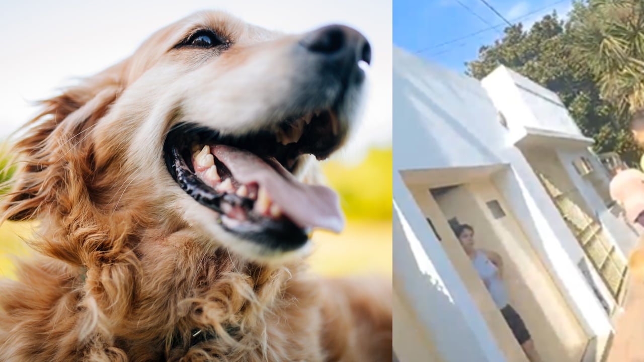 El hecho ha generado indignación en redes sociales.