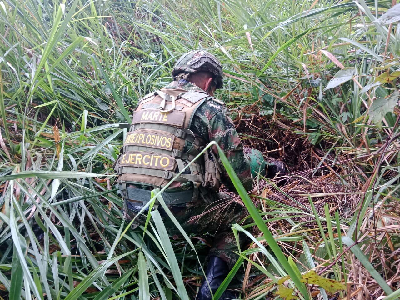 Expertos realizaron el proceso de destrucción.