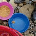 Durante más de dos años los indígenas estuvieron trabajando de la mano con los mineros, para aprender todo sobre la explotación del mineral.
