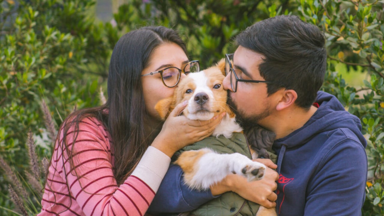 Archie fue una de las mascotas rescatadas por la fundación. | Foto: Cortesía Fundación Adopta No Compres