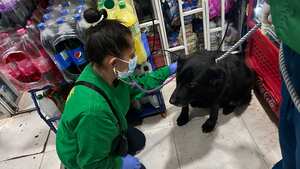 Funcionarios del IDPYBA realizaron atención integral a Negrita